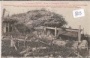Verdun