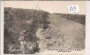 Chemin des Dames