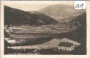 Zinlavnik