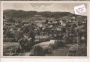 Stiefern am Kamp