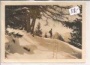 Bargella Alpe Gaflei