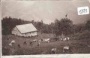 Mellau