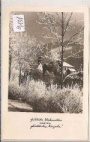 Foto Fürst - Leoben