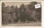 Mittersill