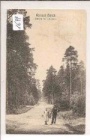 Weisser Hirsch Schneise nach Ullersdorf