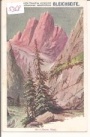 3 Zinnen