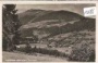 Trattenbach - Wald gegen Gernkogel