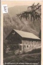Großfragant