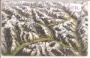 Meran - Glurns - Mals