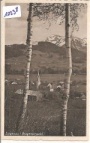 Lingenau