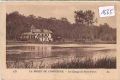 La Foret  de  Compiegne
